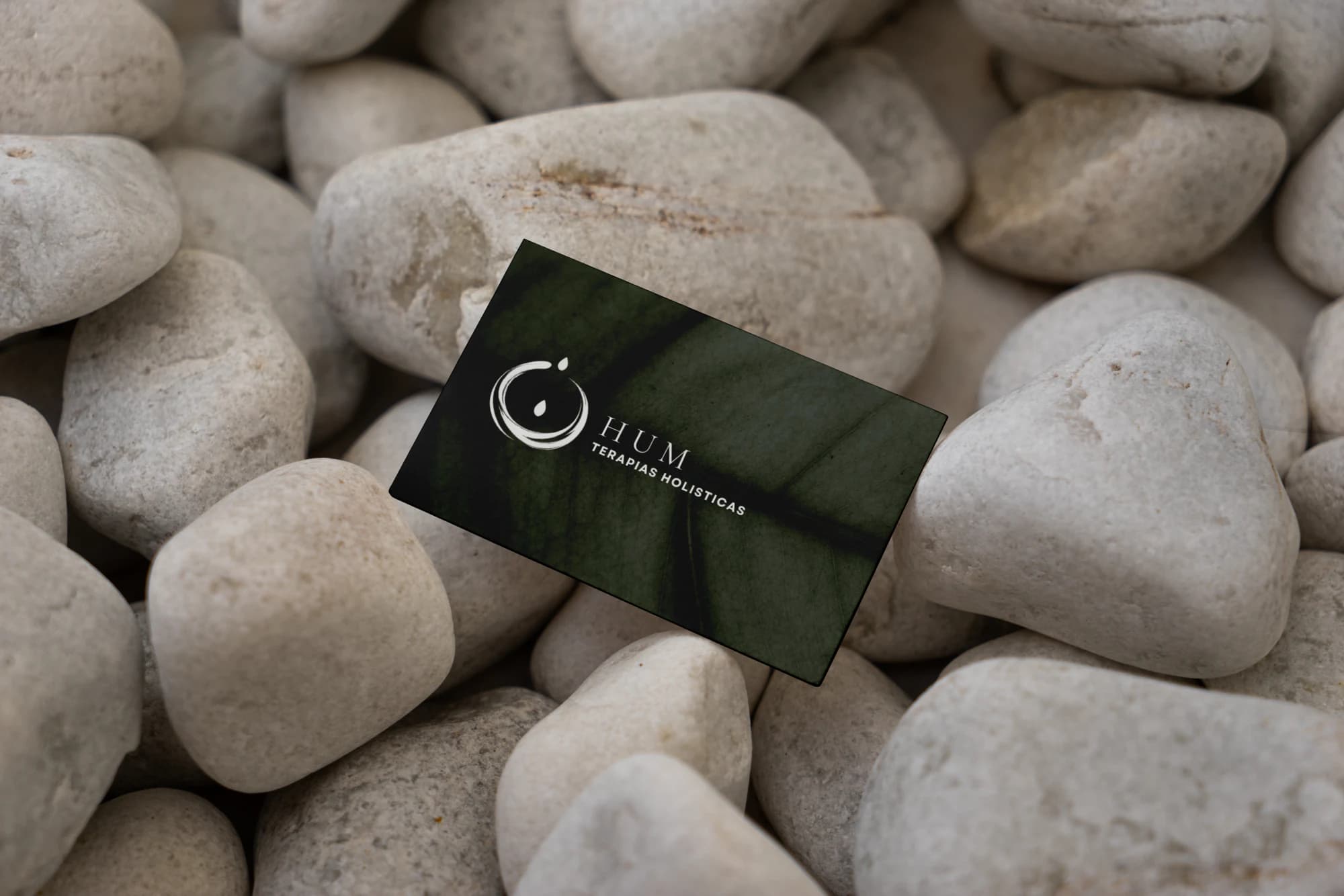 La tarjeta personal de Hüm, verde y con el isotipo, apoyada sobre piedras blancas